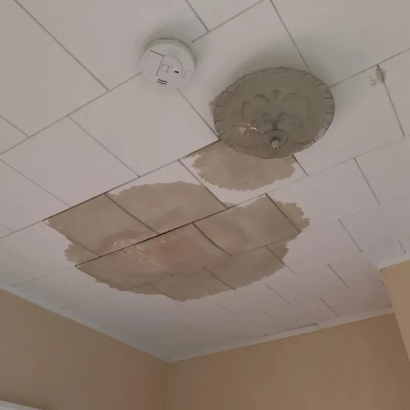 Ceiling Water Damage Repair in Osage, IA