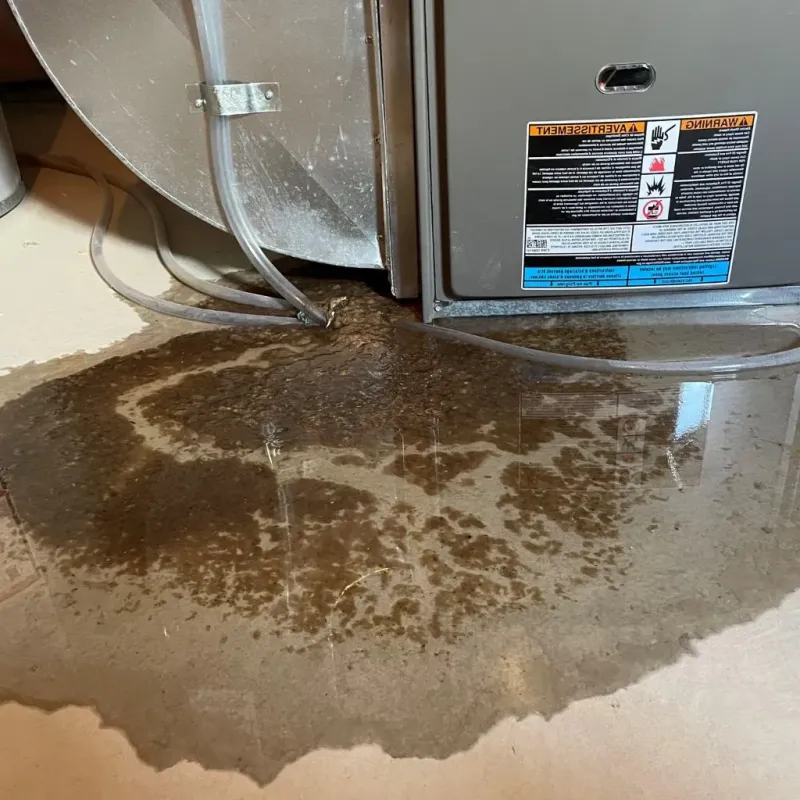 Pipe Burst and Leak Restoration in Osage, IA