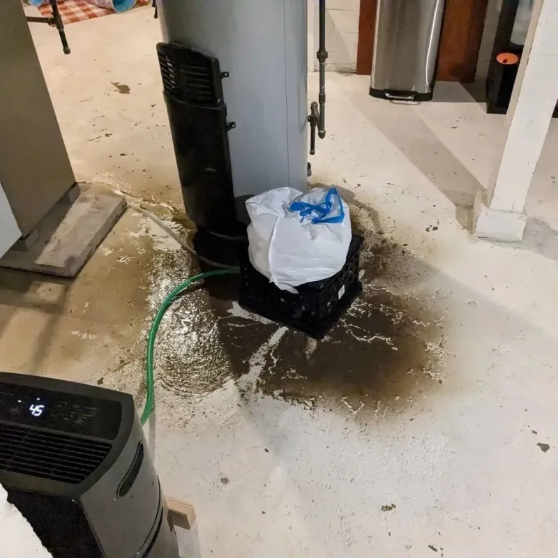 Sewage Backup Cleanup Service in Osage, IA
